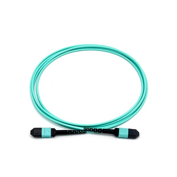 第二类 MPO mtp预端接跳线